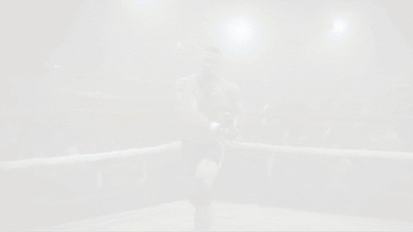 PAST FIGHTS